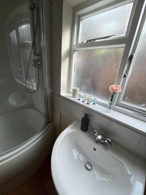 Beautiful Ground Floor Garden Flat Apartment London Ngoại thất bức ảnh